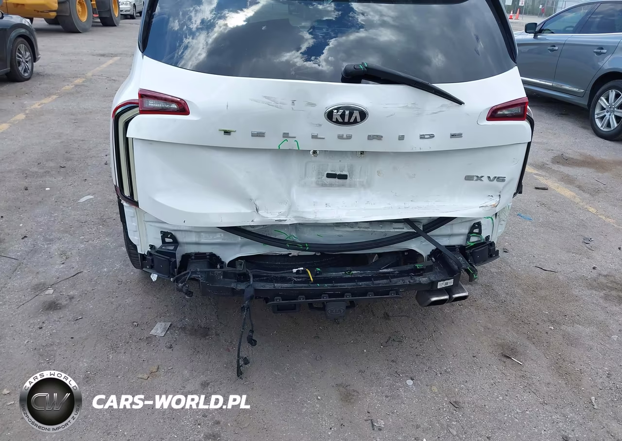 2020 Kia Telluride Ex VIN:5XYP34HCXLG024557 - 6