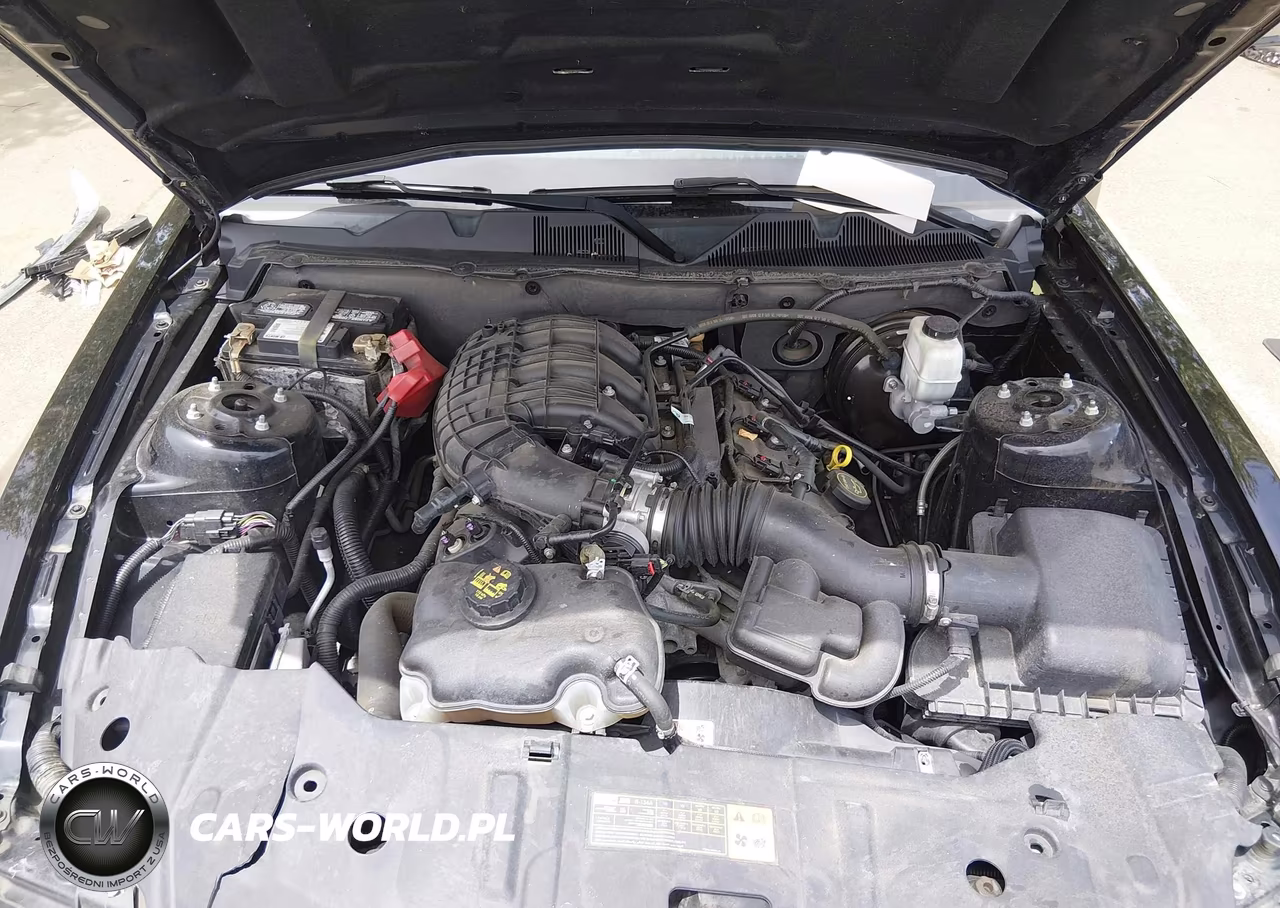2014 Ford Mustang V6 VIN:1ZVBP8AMXE5303699 - 10