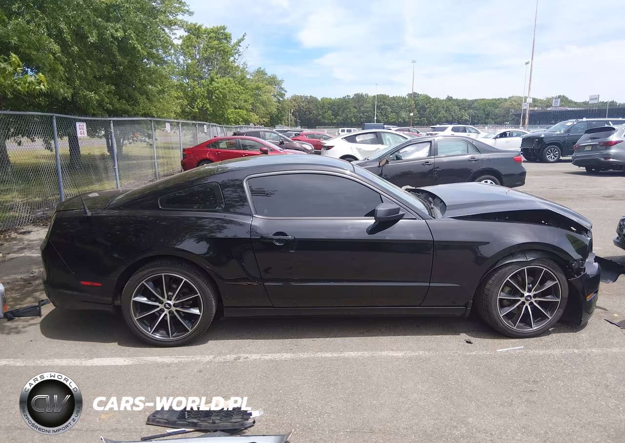 2014 Ford Mustang V6 VIN:1ZVBP8AMXE5303699 - 13