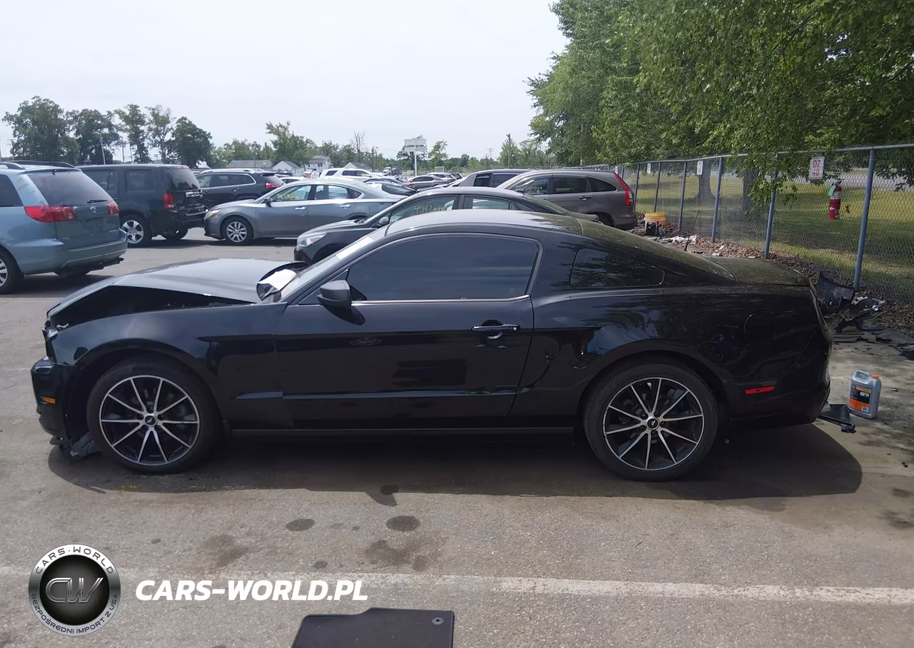 2014 Ford Mustang V6 VIN:1ZVBP8AMXE5303699 - 14