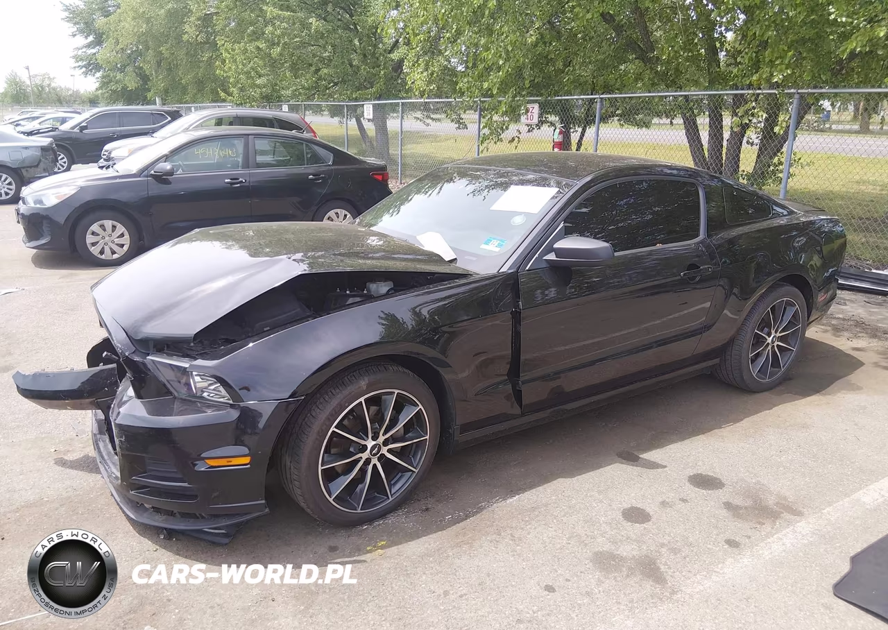 2014 Ford Mustang V6 VIN:1ZVBP8AMXE5303699 - 2