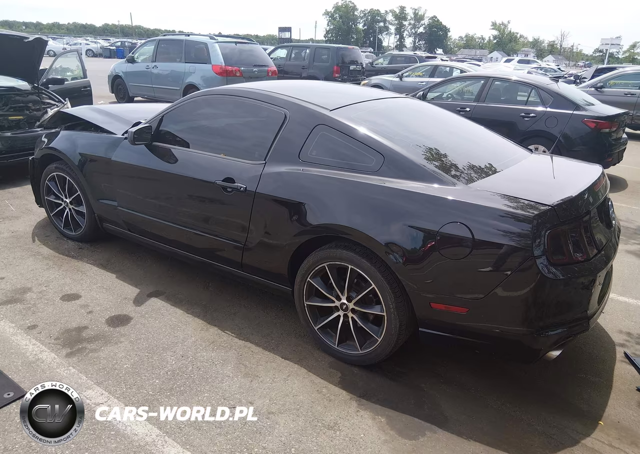 2014 Ford Mustang V6 VIN:1ZVBP8AMXE5303699 - 3