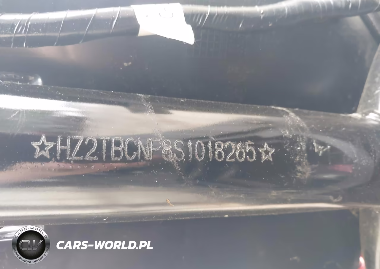 2025 Zhilong St VIN:HZ2TBCNF8S1018265 - 10
