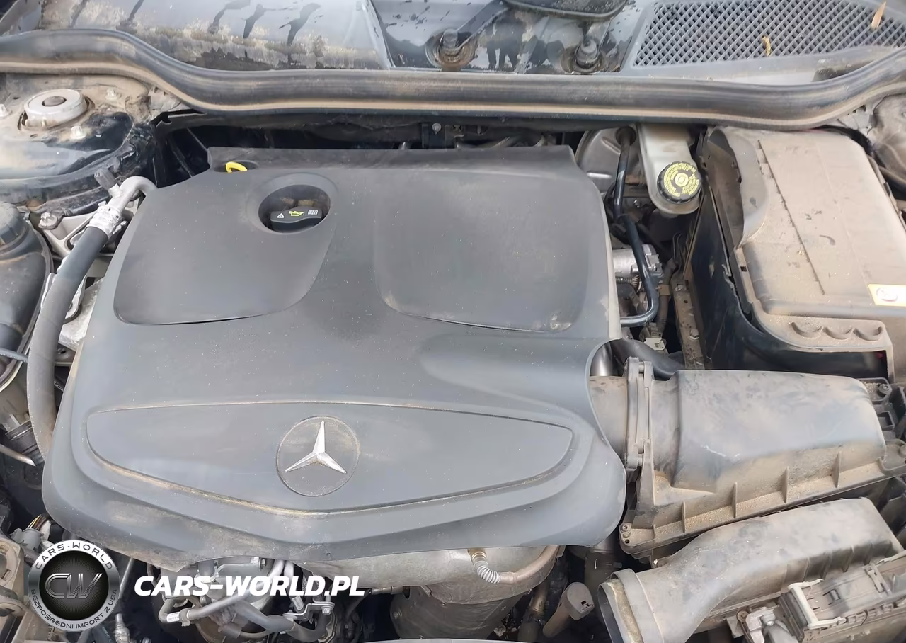 2014 Mercedes-Benz Cla 250 VIN:WDDSJ4EB4EN123064 - 10