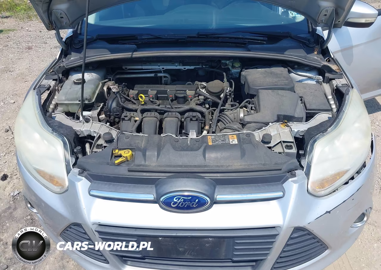 2014 Ford Focus Se VIN:1FADP3K22EL303340 - 10