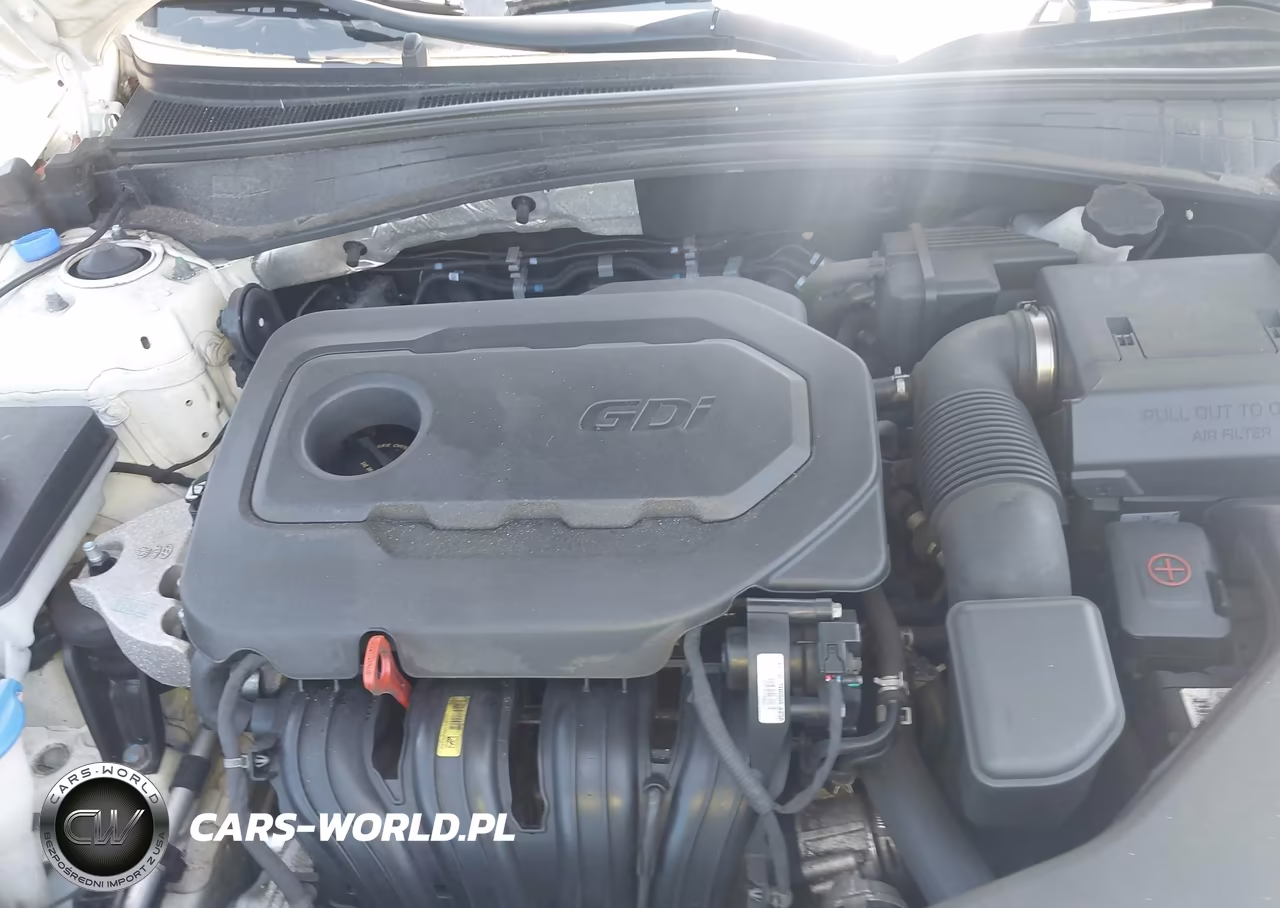2018 Kia Optima Lx VIN:KNAGT4L30J5216676 - 10