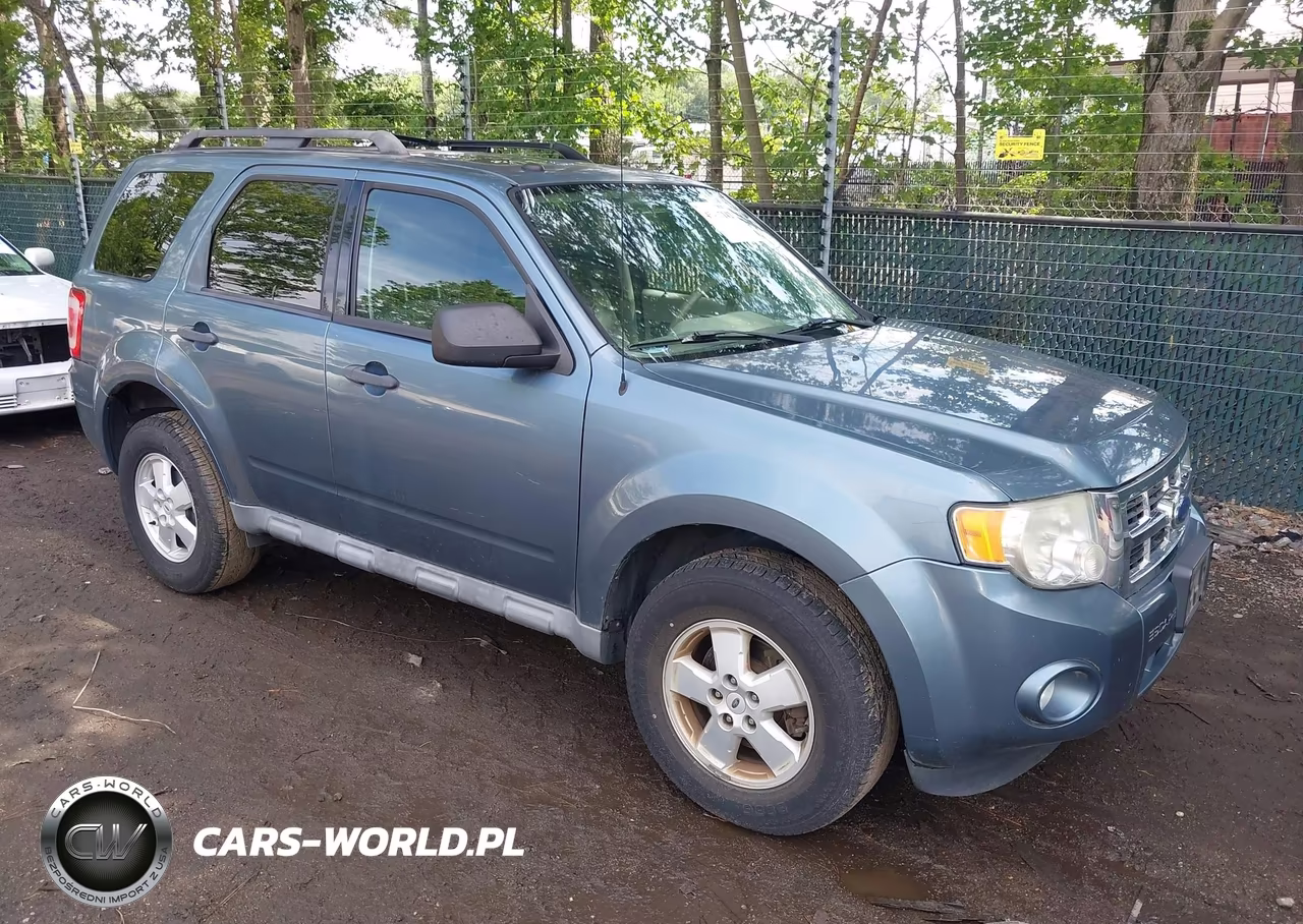 2010 Ford Escape Xlt