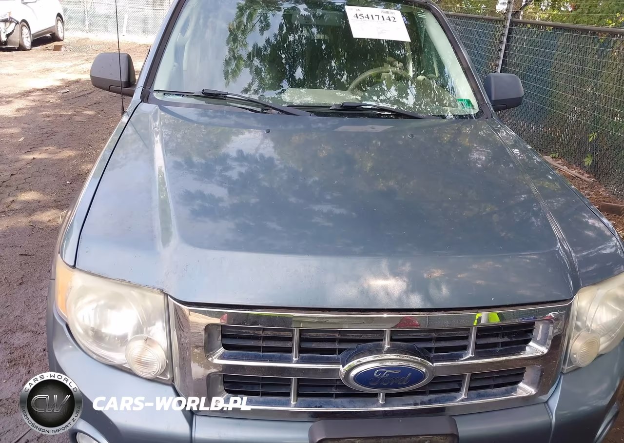 2010 Ford Escape Xlt VIN:1FMCU0DG0AKA42761 - 6