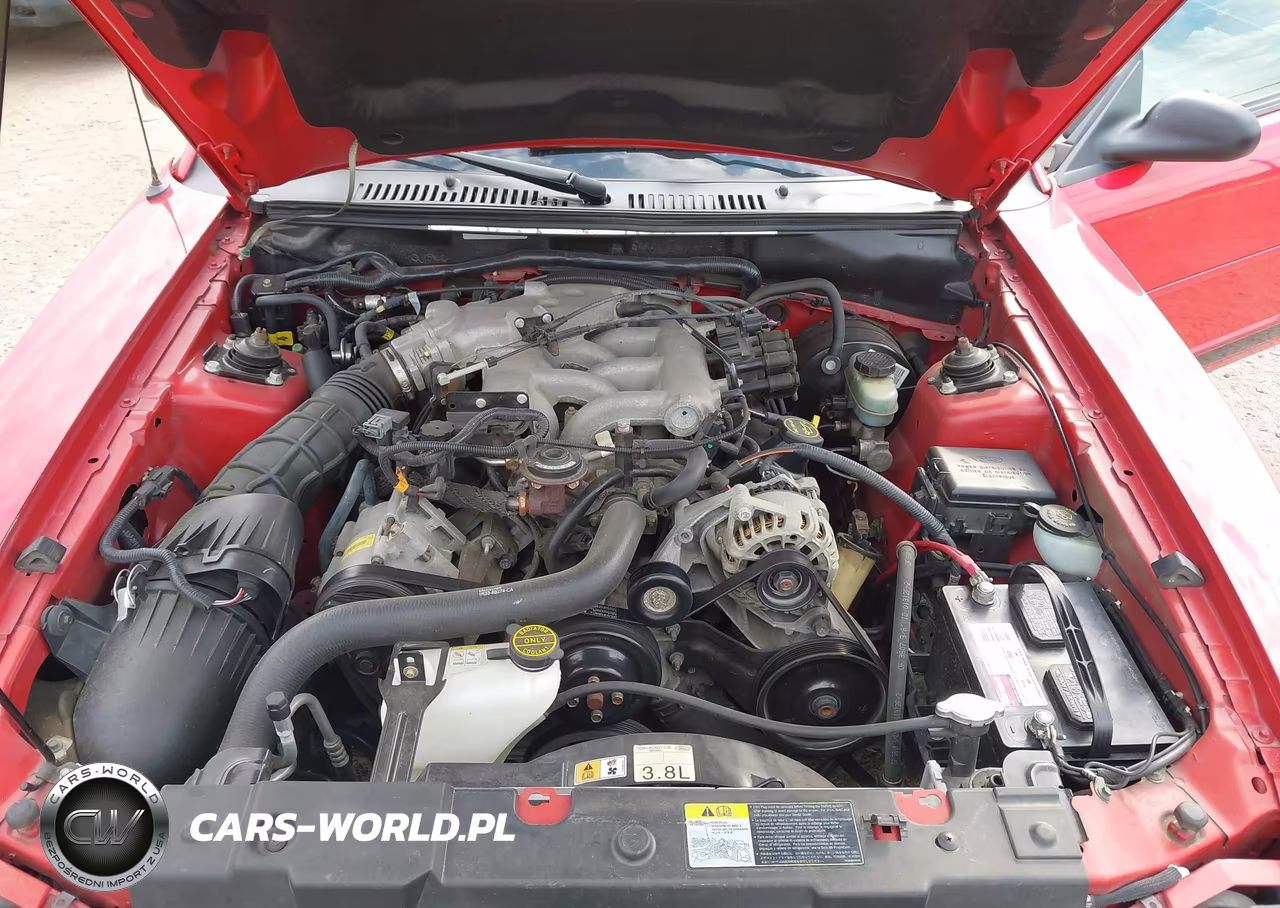2002 Ford Mustang Deluxe-Premium VIN:1FAFP44442F175853 - 10