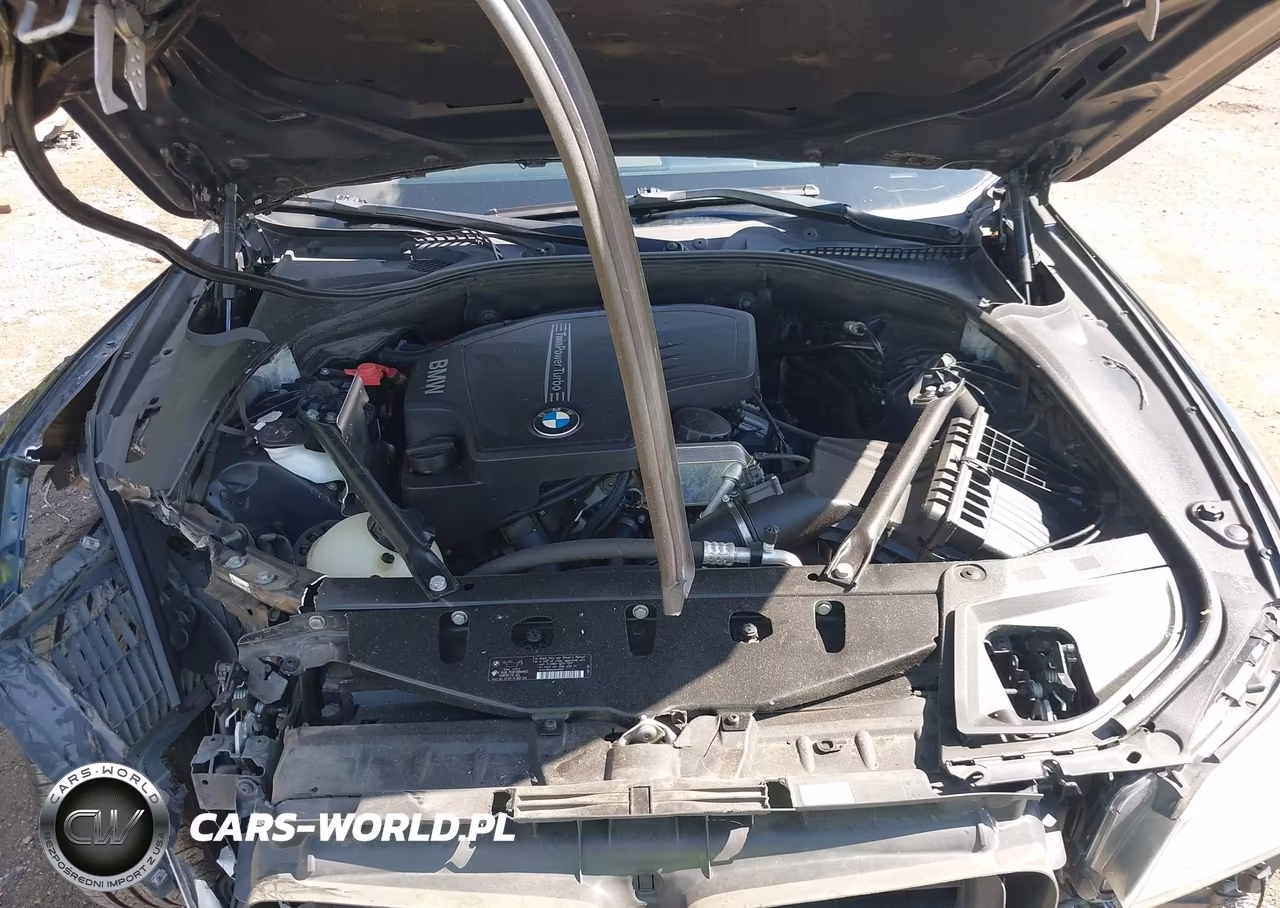 2013 BMW 528I VIN:WBAXG5C51DDY36815 - 10