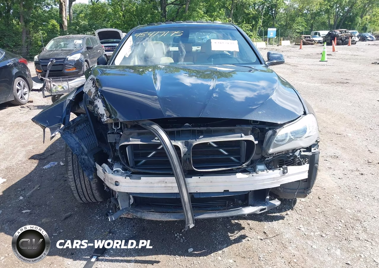 2013 BMW 528I VIN:WBAXG5C51DDY36815 - 13