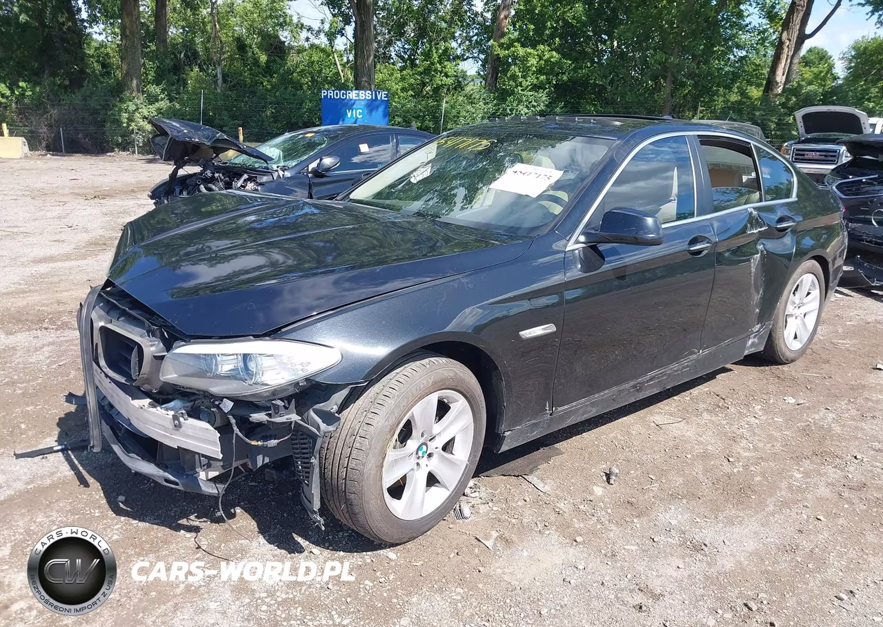 2013 BMW 528I VIN:WBAXG5C51DDY36815 - 2