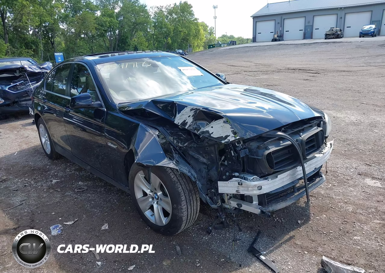 2013 BMW 528I VIN:WBAXG5C51DDY36815 - 6