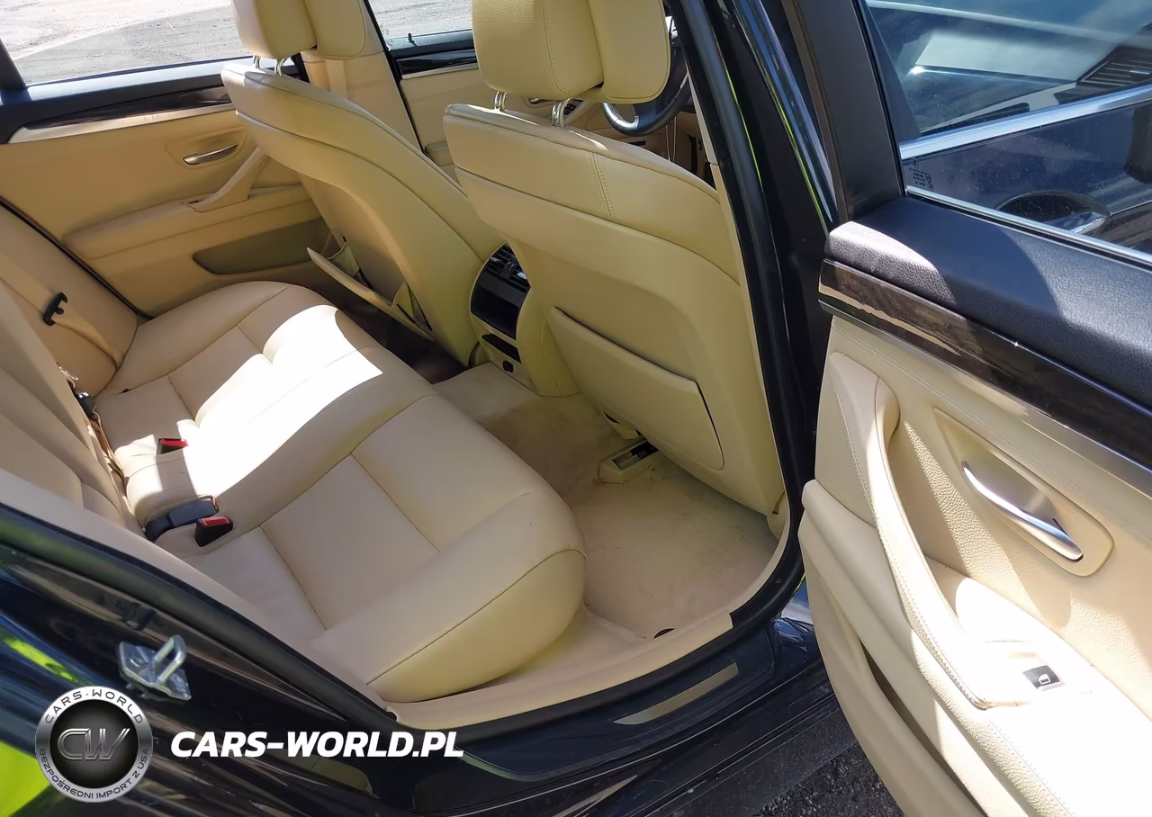 2013 BMW 528I VIN:WBAXG5C51DDY36815 - 8