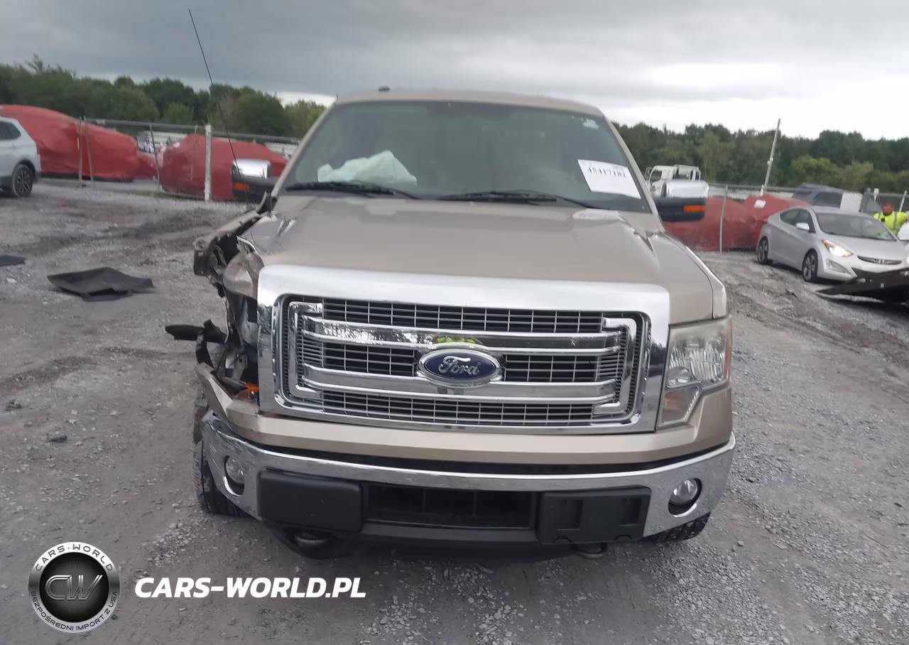 2014 Ford F-150 Xlt VIN:1FTFW1ET9EFA22746 - 12