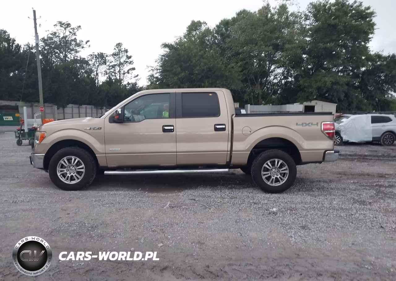 2014 Ford F-150 Xlt VIN:1FTFW1ET9EFA22746 - 14
