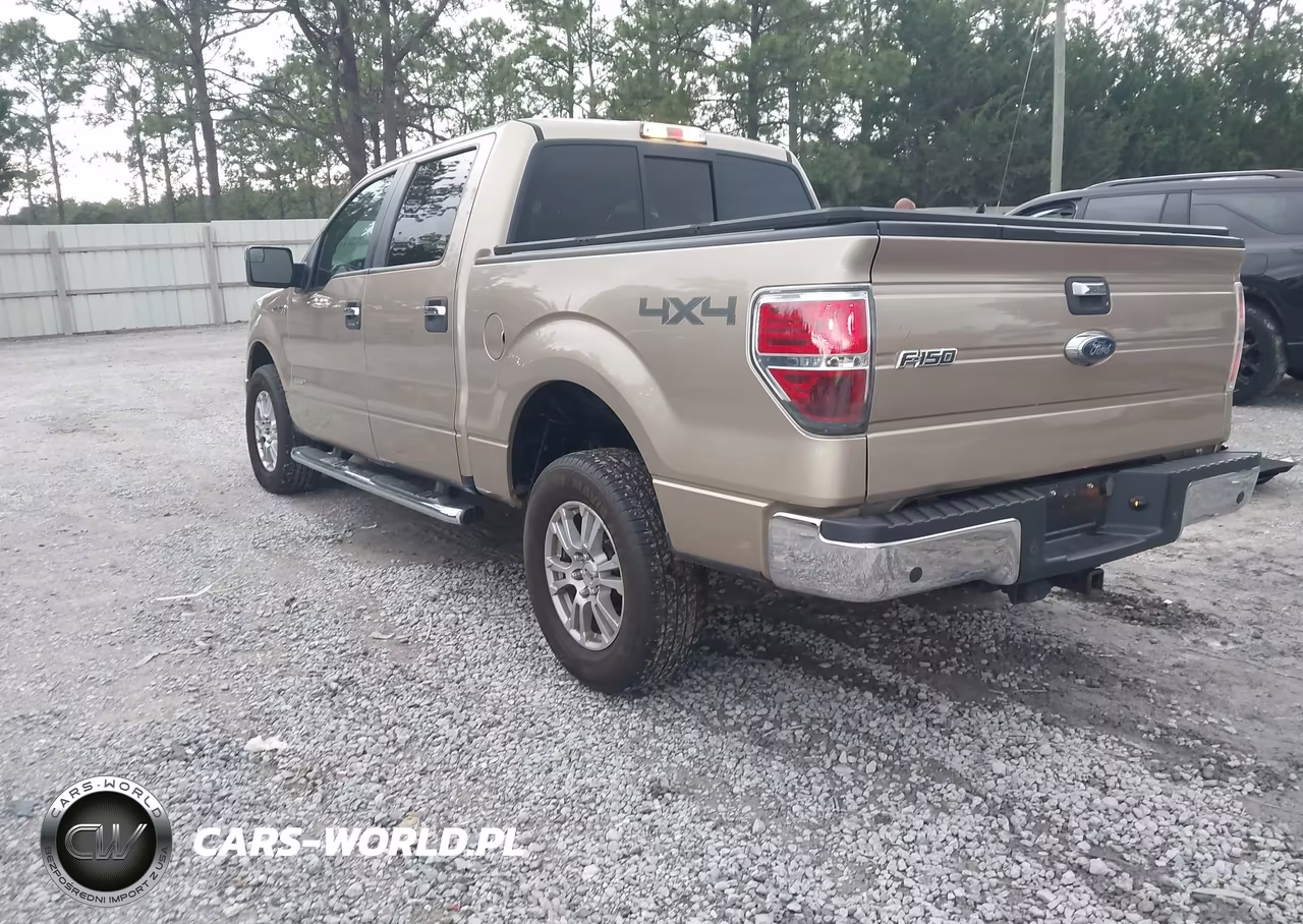 2014 Ford F-150 Xlt VIN:1FTFW1ET9EFA22746 - 3