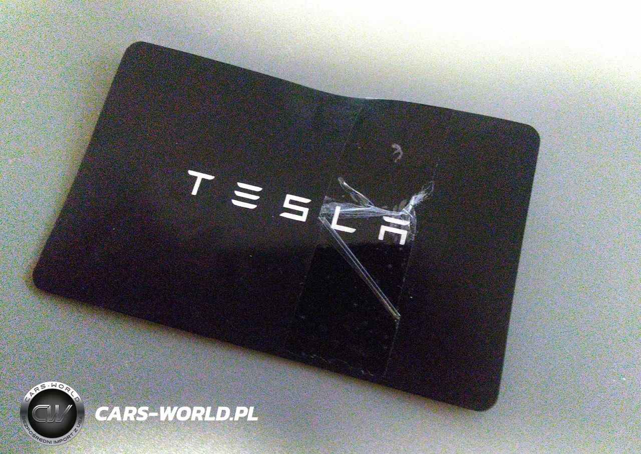 2023 Tesla Model 3 Rear-Wheel Drive VIN:5YJ3E1EA9PF698190 - 11