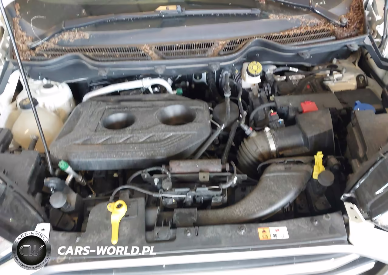 2019 Ford Ecosport Se VIN:MAJ6S3GLXKC304935 - 10