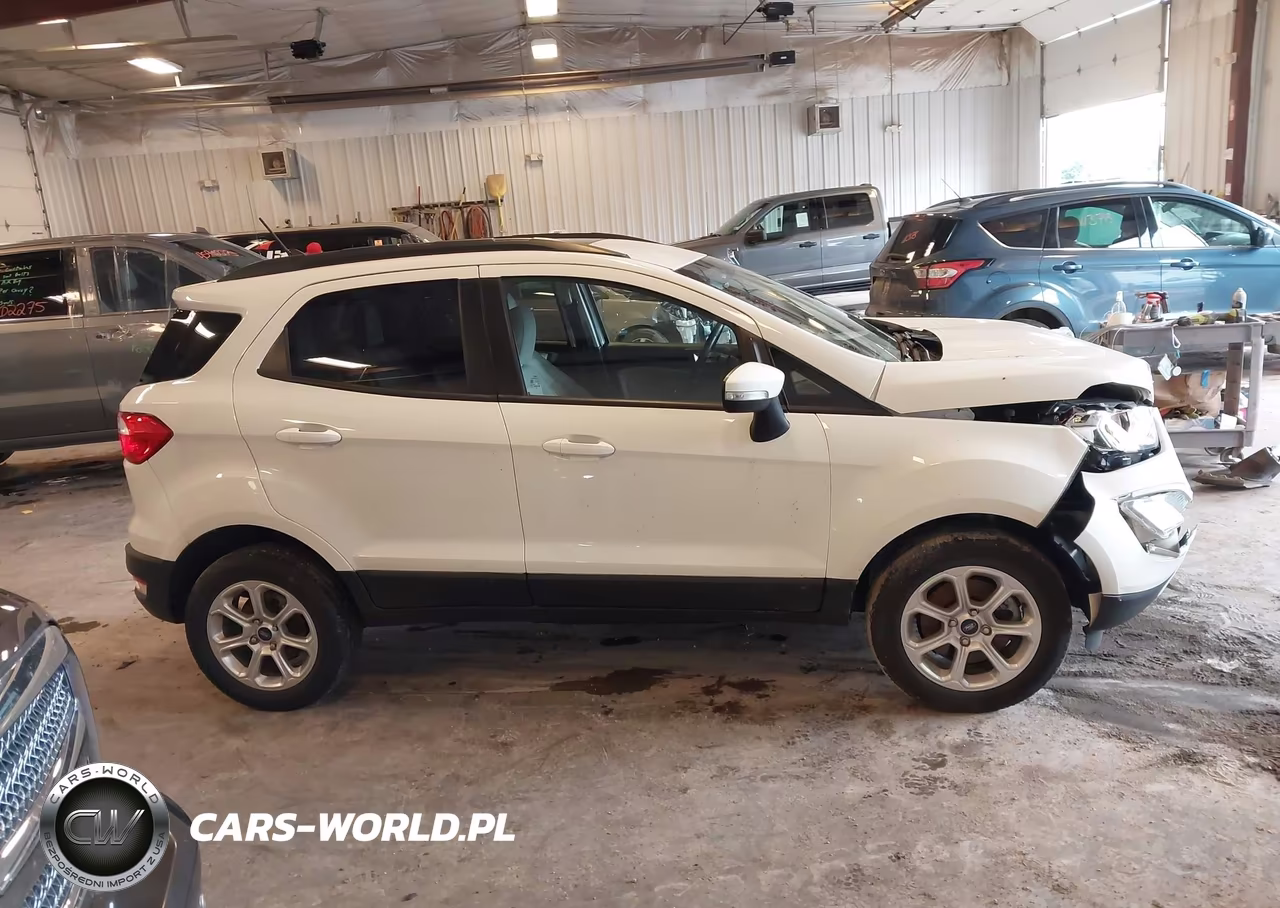 2019 Ford Ecosport Se VIN:MAJ6S3GLXKC304935 - 13