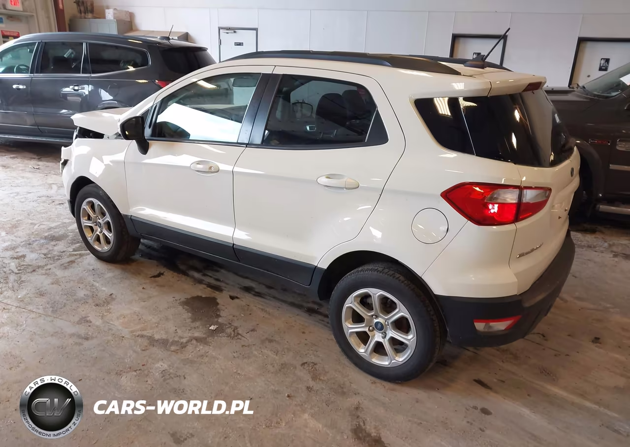 2019 Ford Ecosport Se VIN:MAJ6S3GLXKC304935 - 3