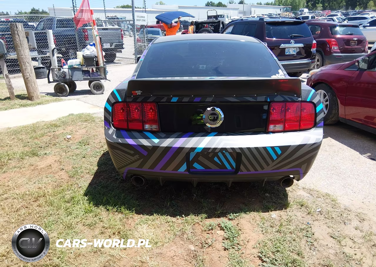 2008 Ford Mustang Gt Deluxe-Gt Premium VIN:1ZVHT82H485199688 - 16