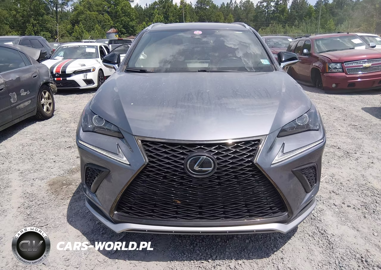 2020 Lexus Nx 300 F Sport VIN:JTJSARBZ2L5007610 - 12