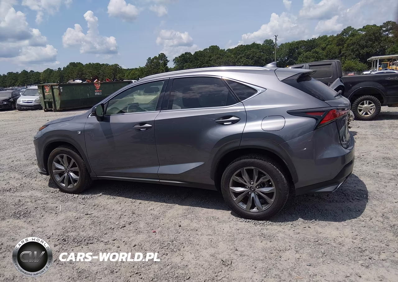 2020 Lexus Nx 300 F Sport VIN:JTJSARBZ2L5007610 - 14