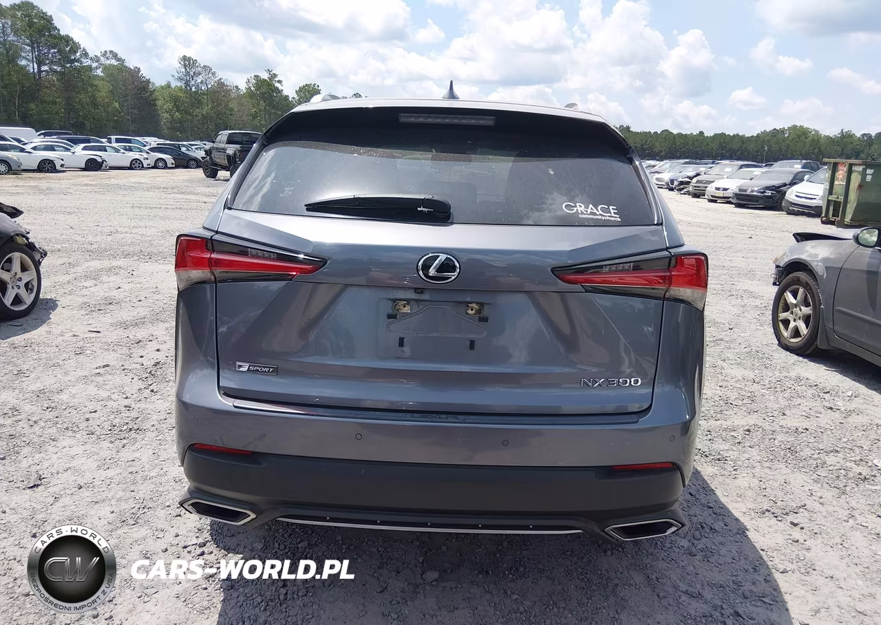 2020 Lexus Nx 300 F Sport VIN:JTJSARBZ2L5007610 - 16