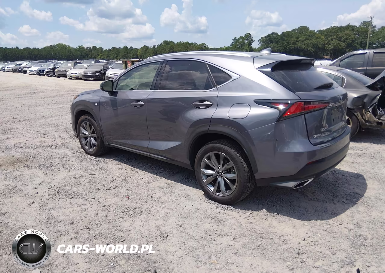2020 Lexus Nx 300 F Sport VIN:JTJSARBZ2L5007610 - 3