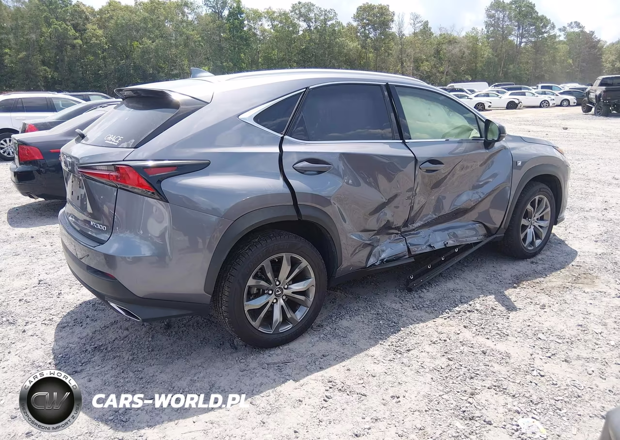 2020 Lexus Nx 300 F Sport VIN:JTJSARBZ2L5007610 - 4