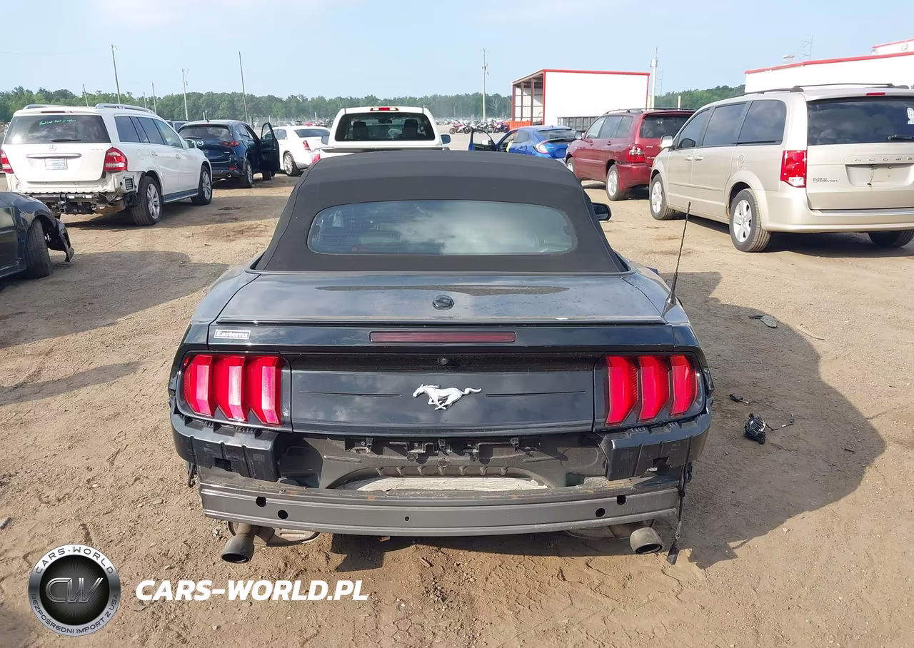 2022 Ford Mustang Ecoboost Premium VIN:1FATP8UH4N5119435 - 17