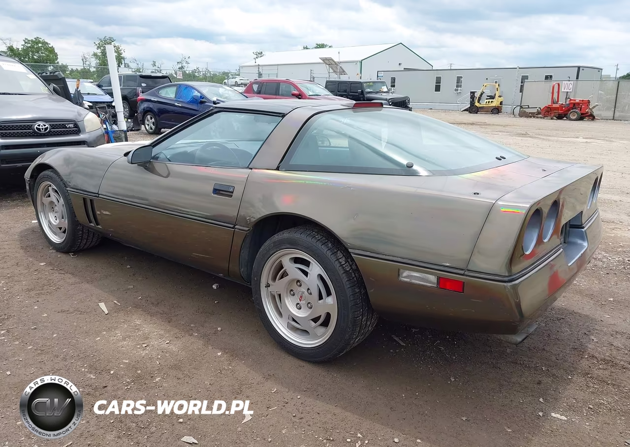 1990 Chevrolet Corvette VIN:1G1YY2383L5118326 - 3