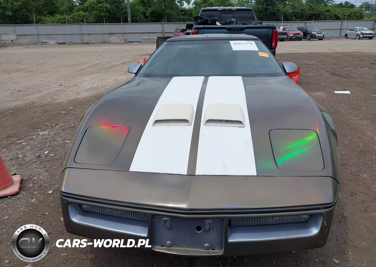1990 Chevrolet Corvette VIN:1G1YY2383L5118326 - 6