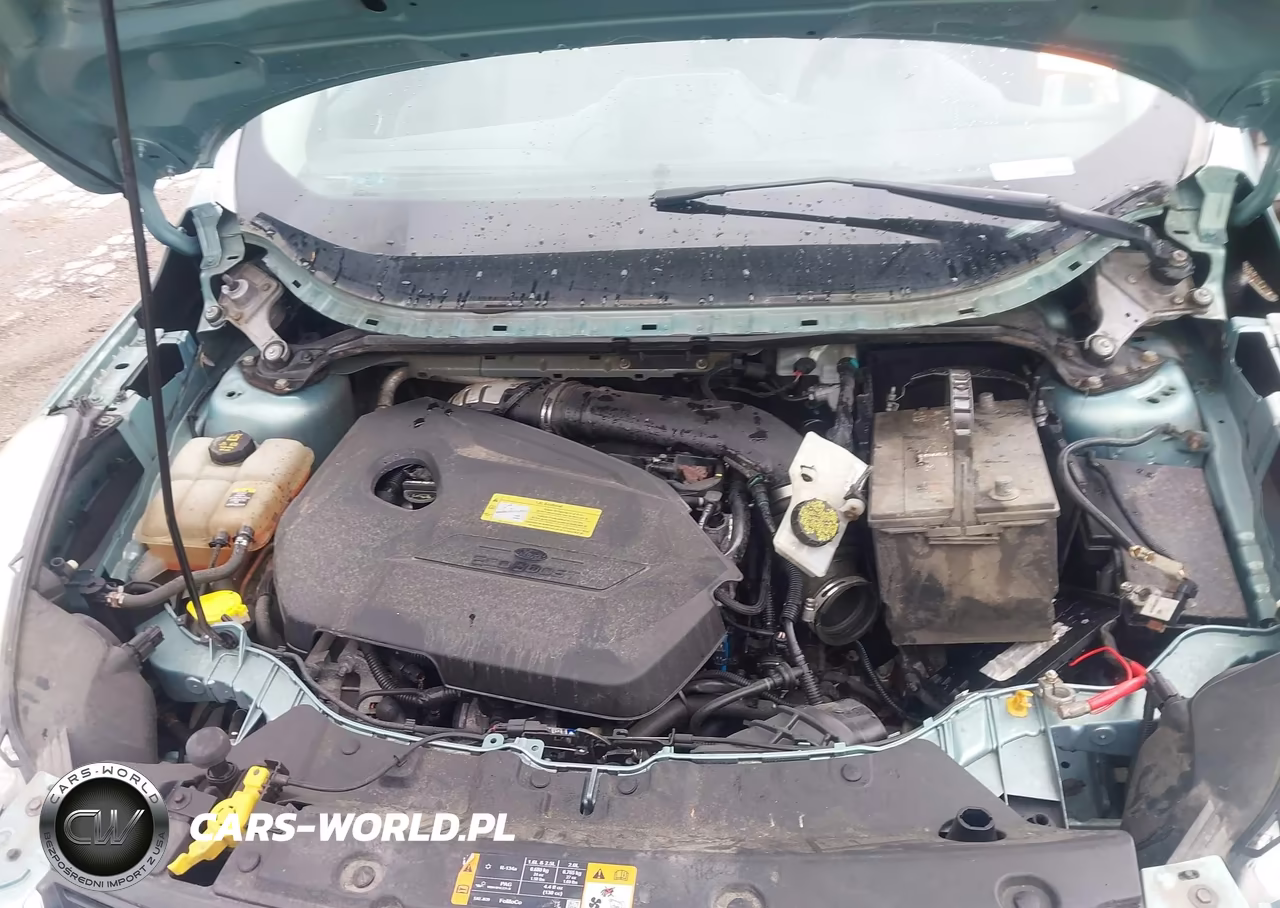 2013 Ford Escape Sel VIN:1FMCU0HX8DUD51154 - 10