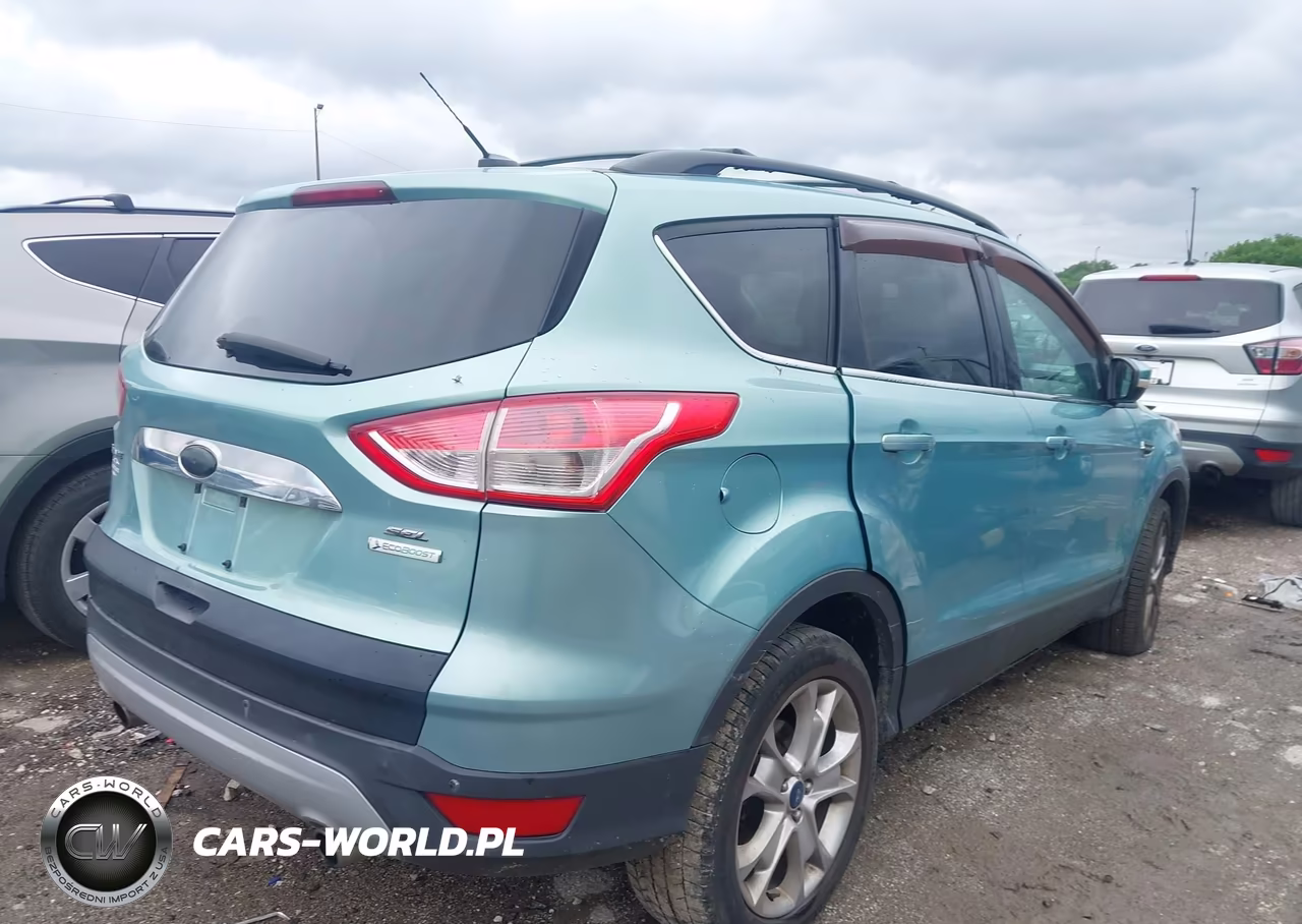 2013 Ford Escape Sel VIN:1FMCU0HX8DUD51154 - 4