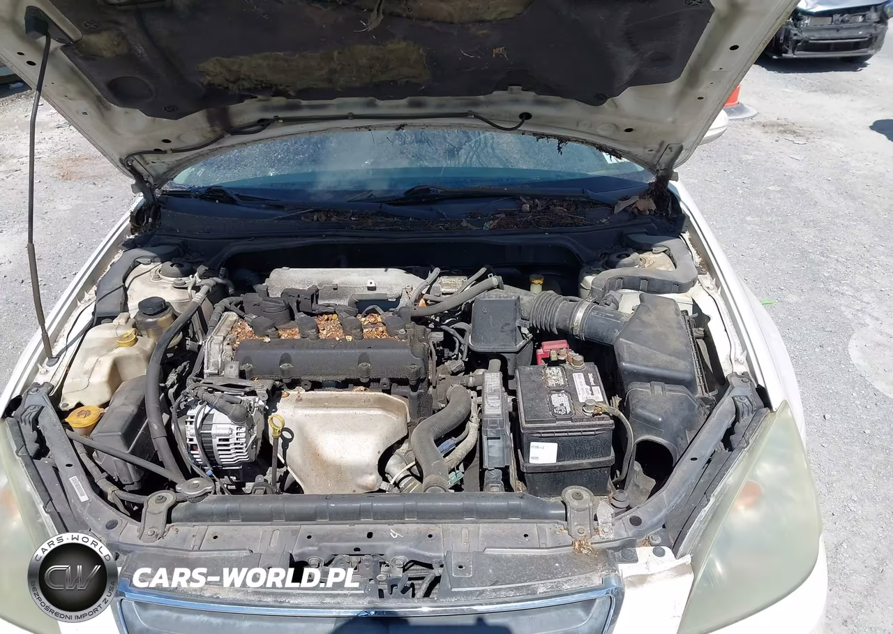 2002 Nissan Altima 2.5 S VIN:1N4AL11E42C150065 - 10