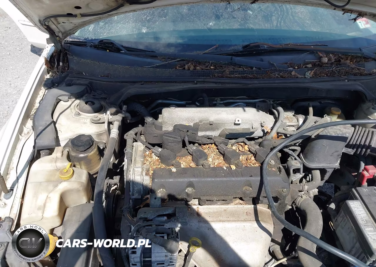 2002 Nissan Altima 2.5 S VIN:1N4AL11E42C150065 - 6