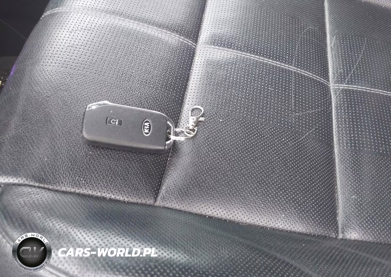 2021 Kia Telluride Ex VIN:5XYP3DHC8MG128255 - 11
