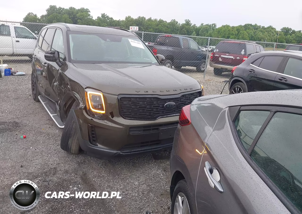 2021 Kia Telluride Ex VIN:5XYP3DHC8MG128255 - 12