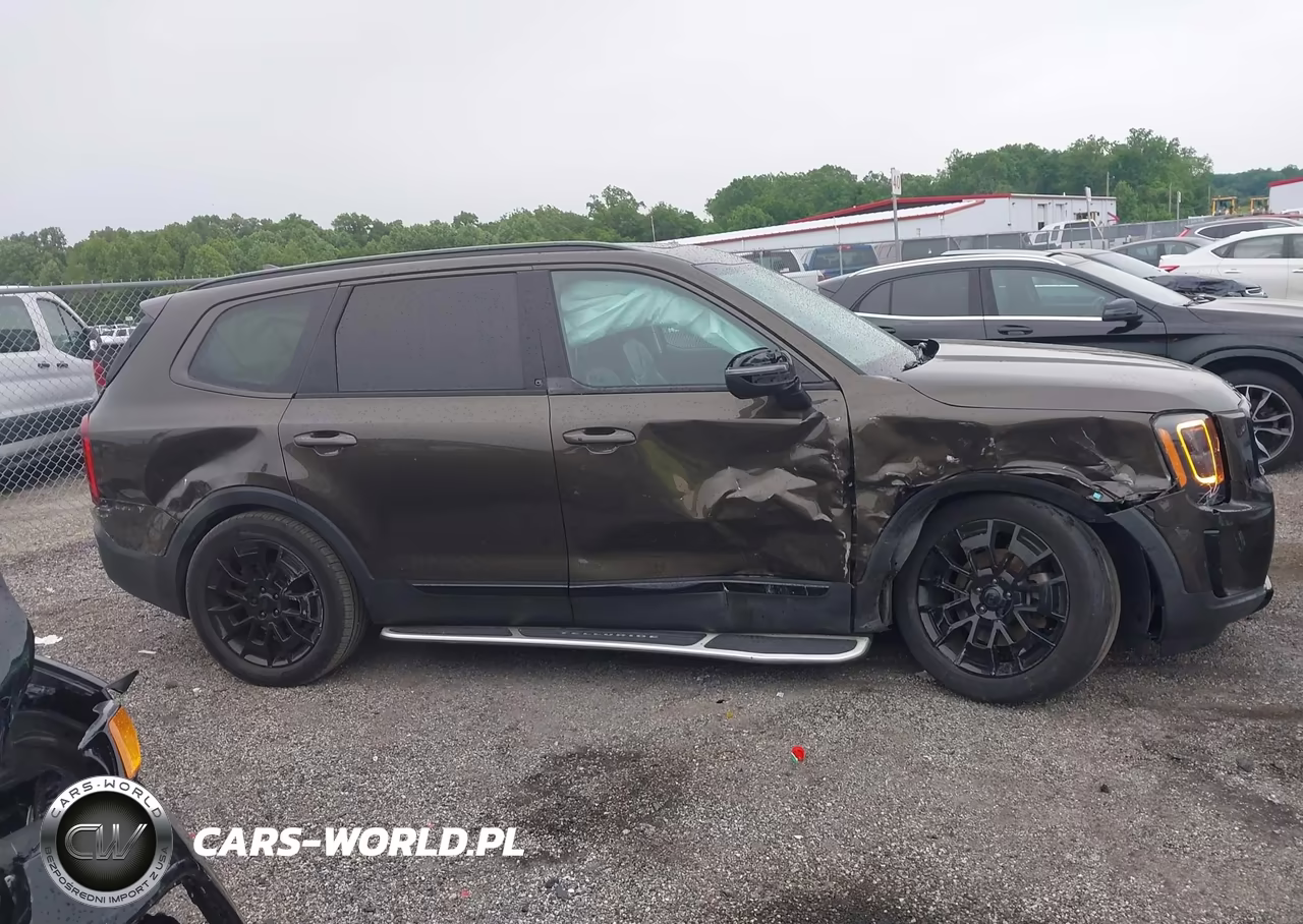 2021 Kia Telluride Ex VIN:5XYP3DHC8MG128255 - 13