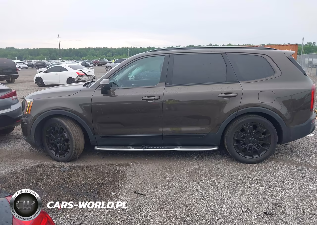 2021 Kia Telluride Ex VIN:5XYP3DHC8MG128255 - 14