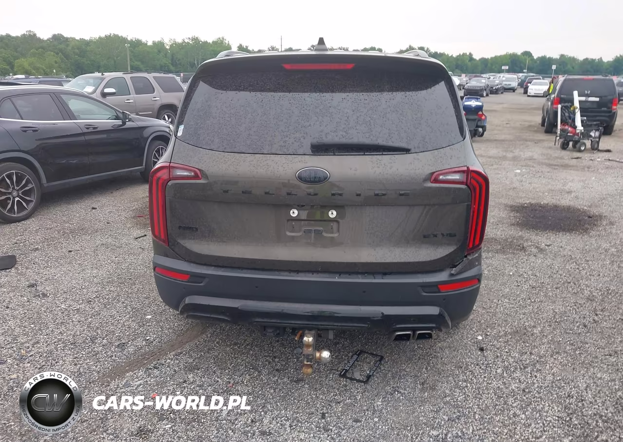 2021 Kia Telluride Ex VIN:5XYP3DHC8MG128255 - 16