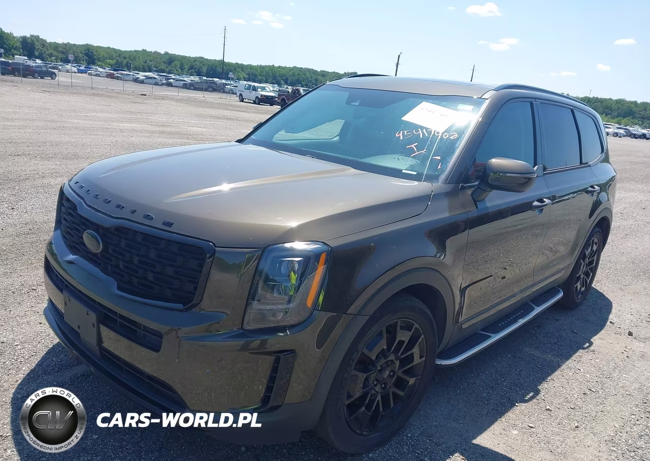 2021 Kia Telluride Ex VIN:5XYP3DHC8MG128255 - 2