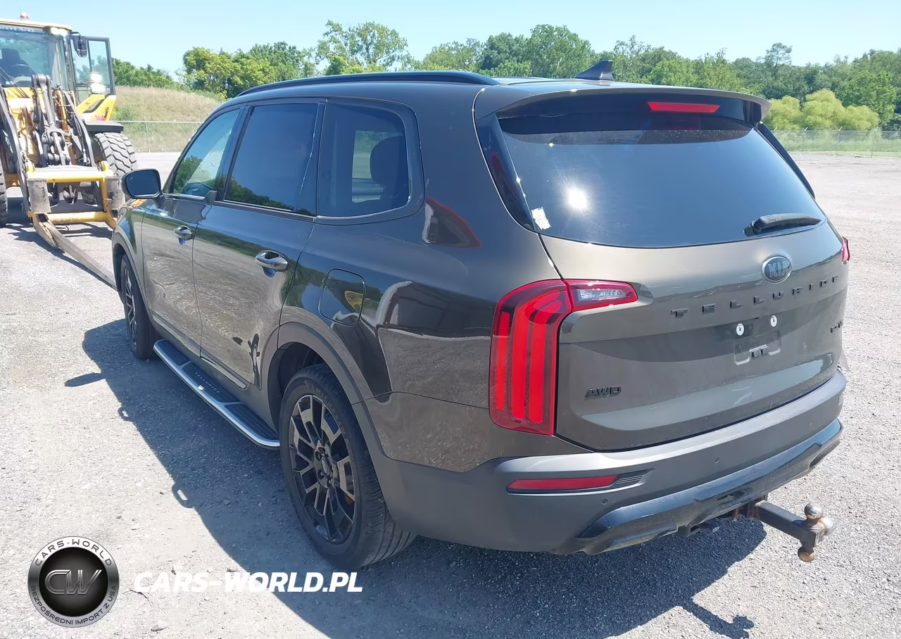 2021 Kia Telluride Ex VIN:5XYP3DHC8MG128255 - 3
