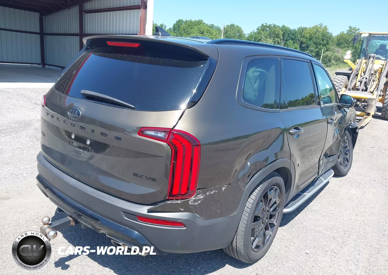 2021 Kia Telluride Ex VIN:5XYP3DHC8MG128255 - 4