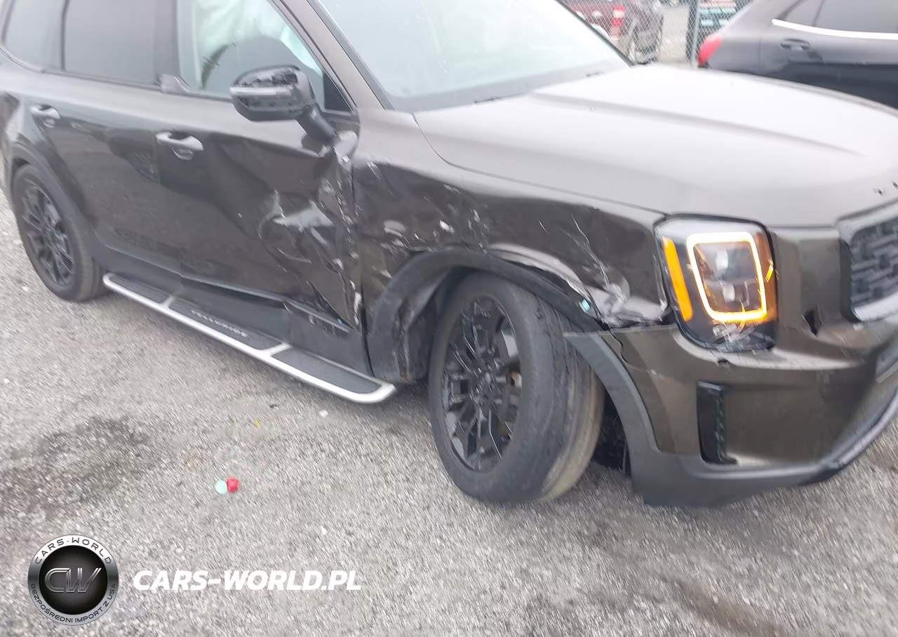 2021 Kia Telluride Ex VIN:5XYP3DHC8MG128255 - 6