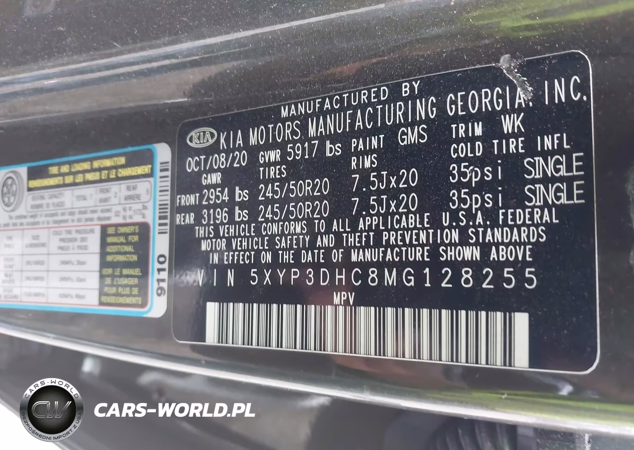 2021 Kia Telluride Ex VIN:5XYP3DHC8MG128255 - 9