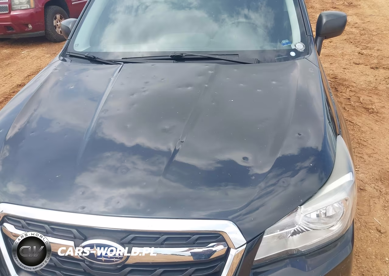 2017 Subaru Forester 2.5I VIN:JF2SJABC9HH419224 - 6