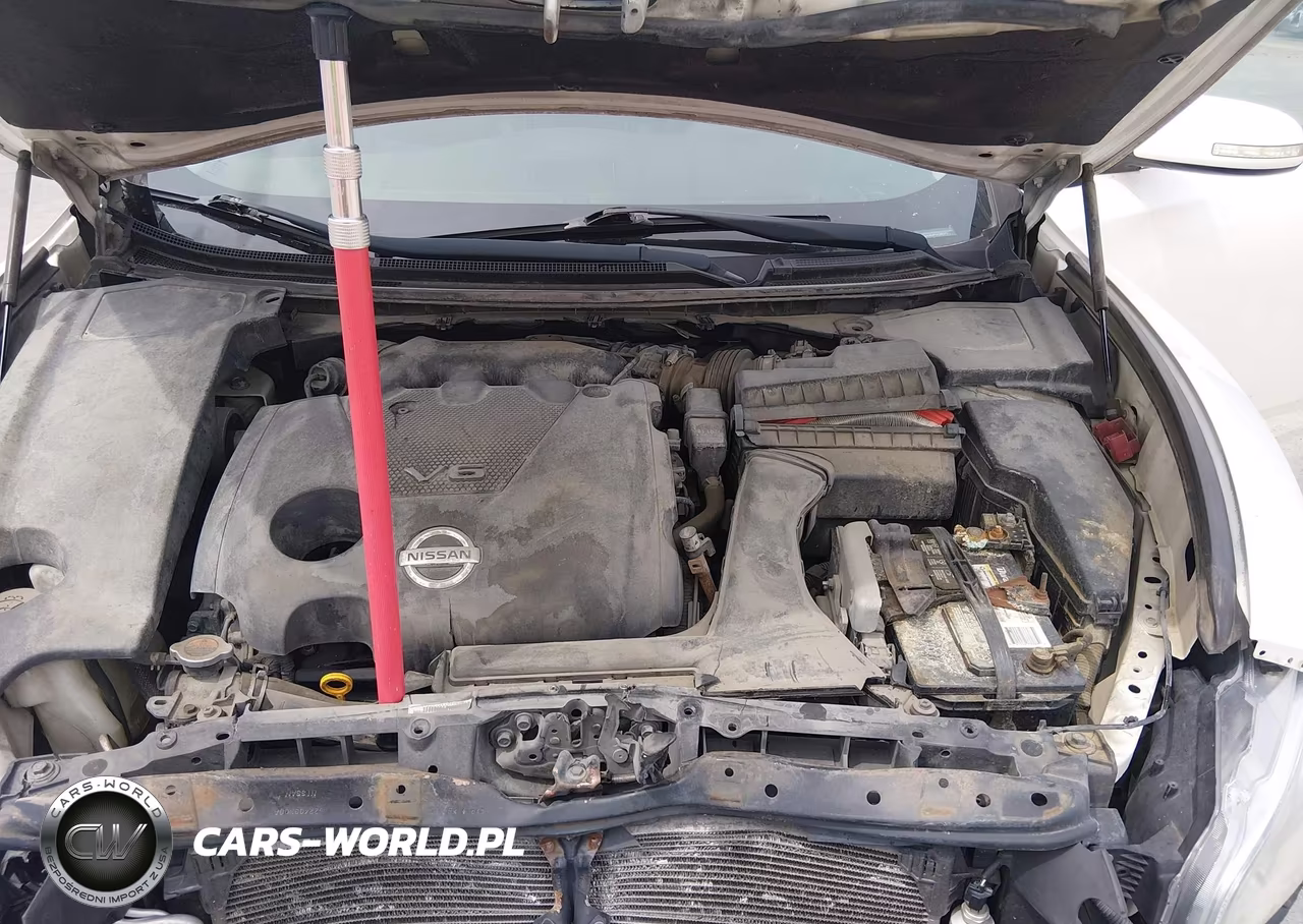 2010 Nissan Maxima 3.5 Sv VIN:1N4AA5AP5AC843272 - 9